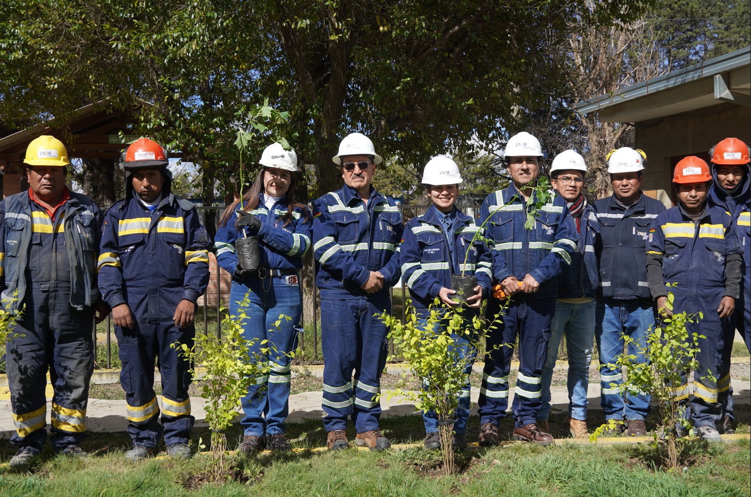ENDE Servicios y Construcciones inicia plan de forestación con especies na