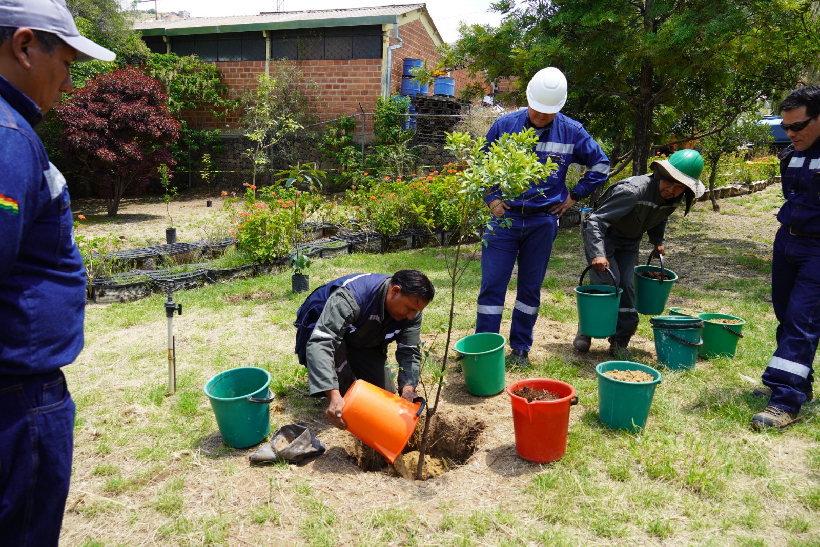 CENTRAL TERMOELÉCTRICA VALLE HERMOSO CUENTA CON MÁS DE 2.600 ESPECIES FOR