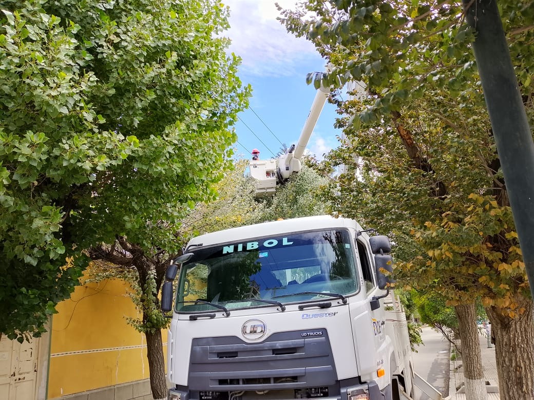 ENDE DEORURO S.A. ejecuta trabajos de poda de árboles para garantizar el s