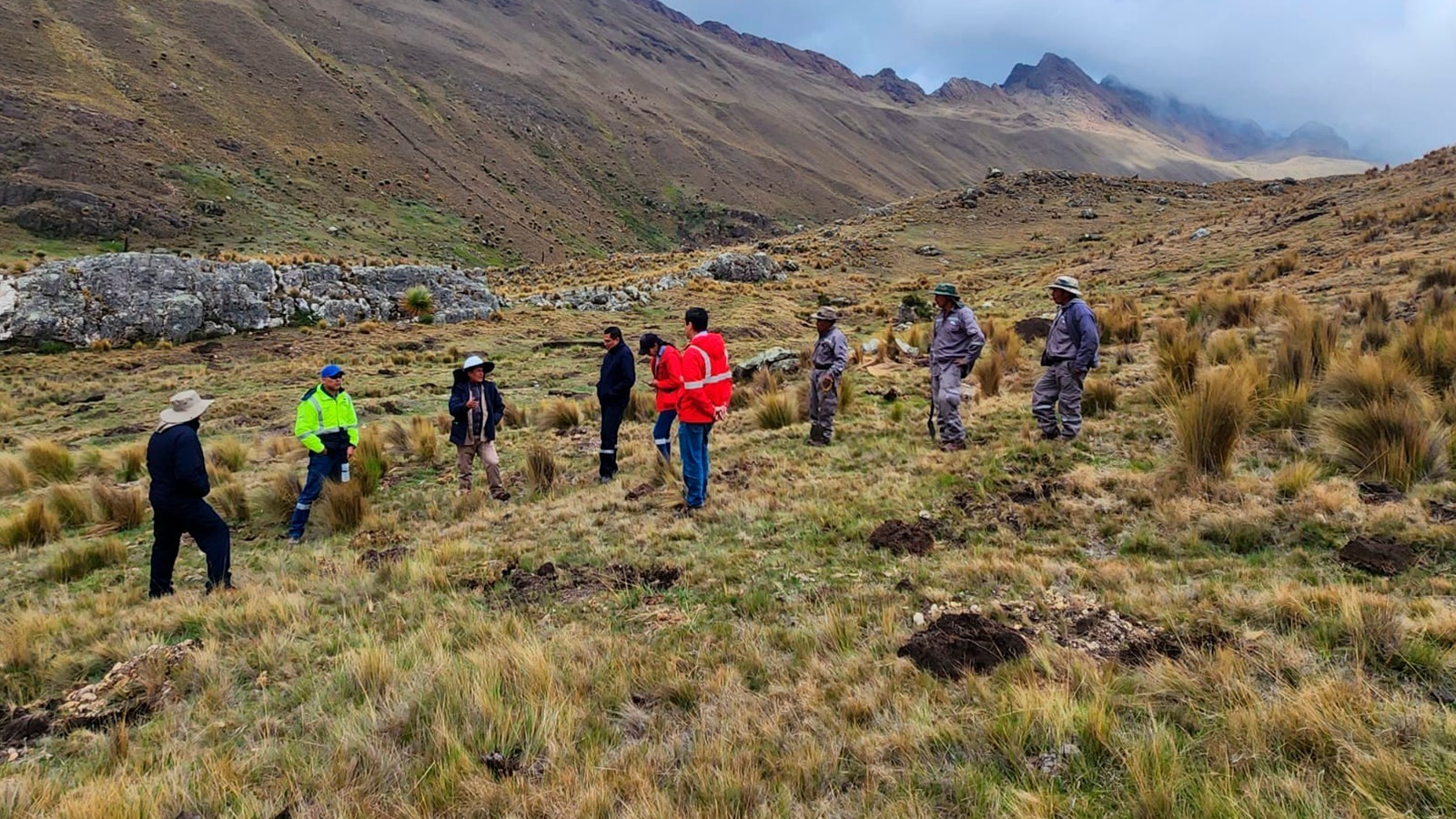 ENDE, a través del proyecto Ivirizu, plantó más de 280.000 especies fore