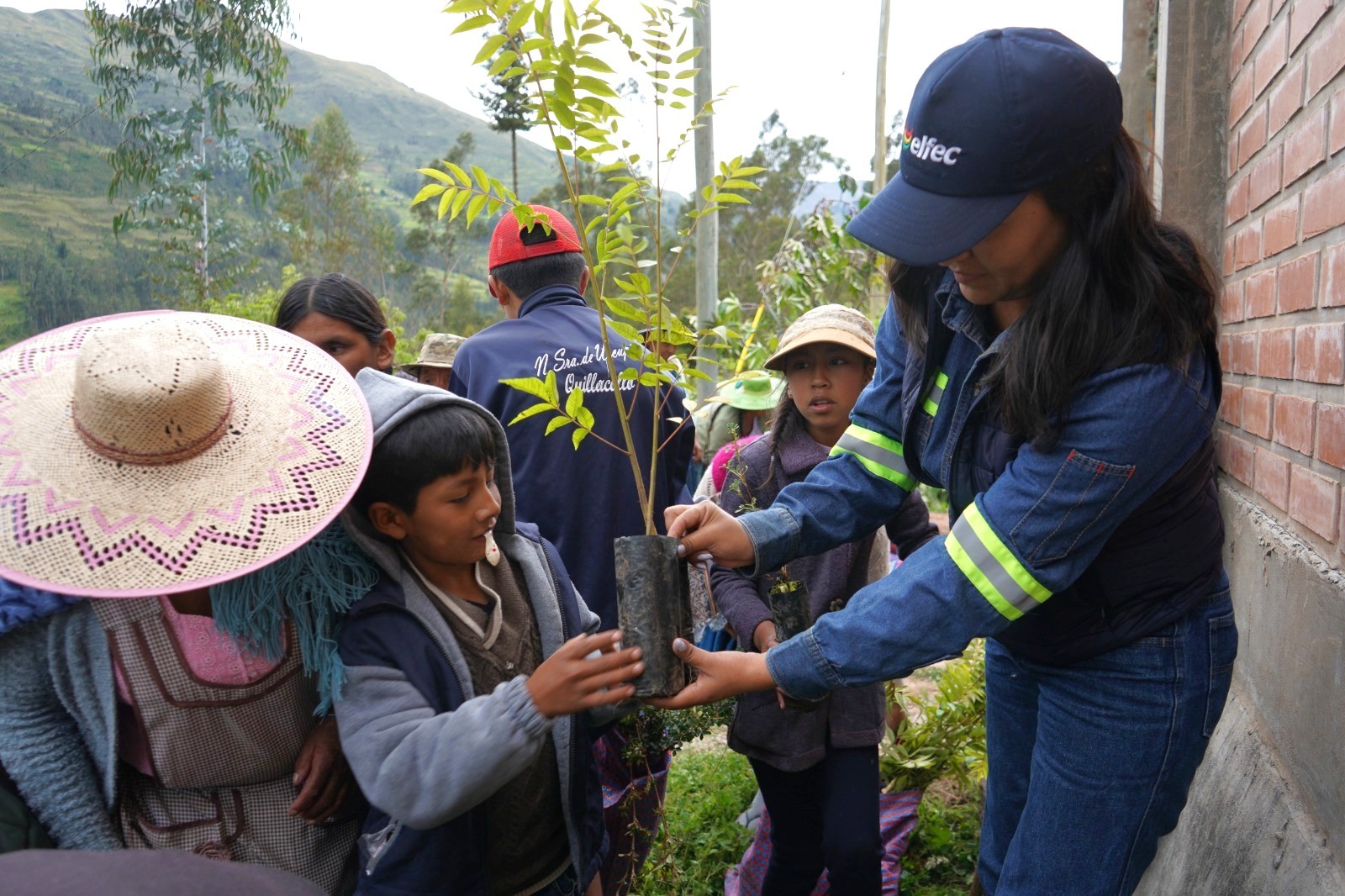 ENDE inició Plan de Reforestación en Morochata, Cochabamba