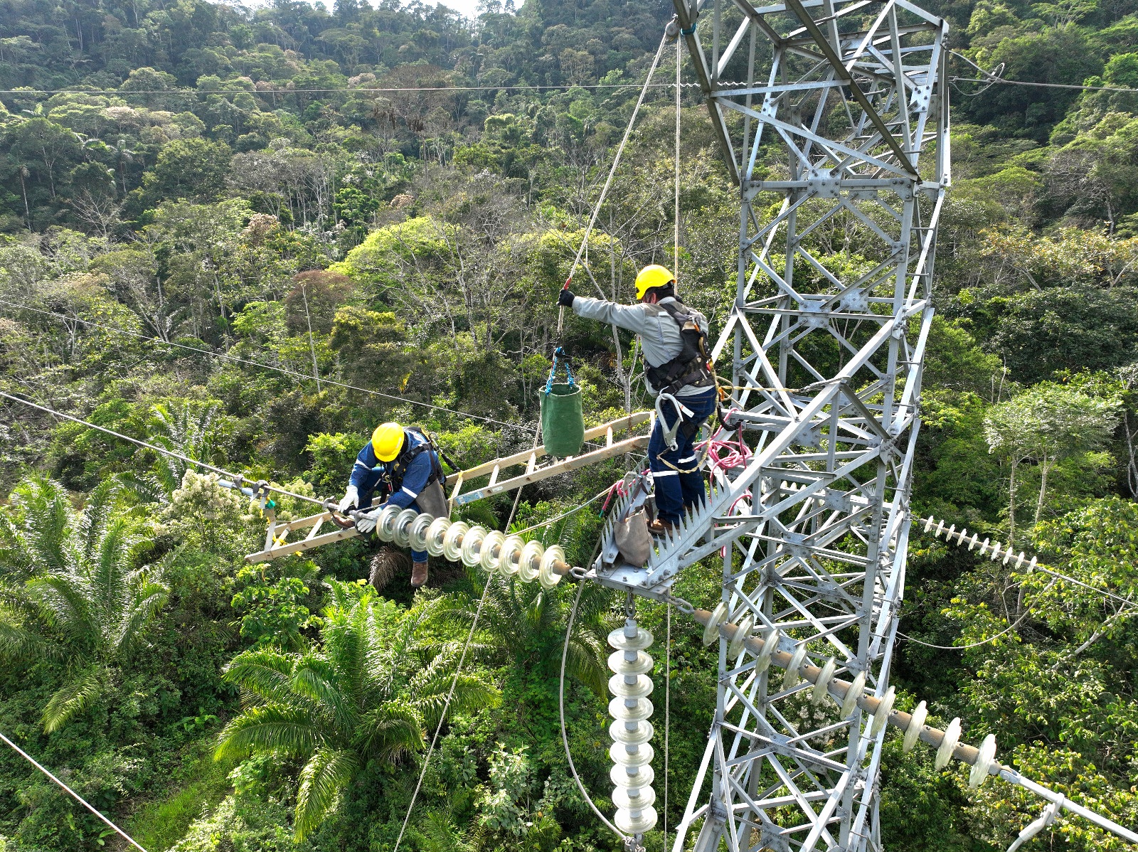 ENDE concluye trabajos de mantenimiento en la línea eléctrica Caranavi - 